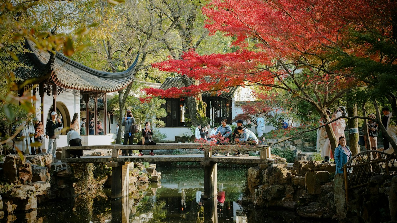 A group of people standing around a pond in a park