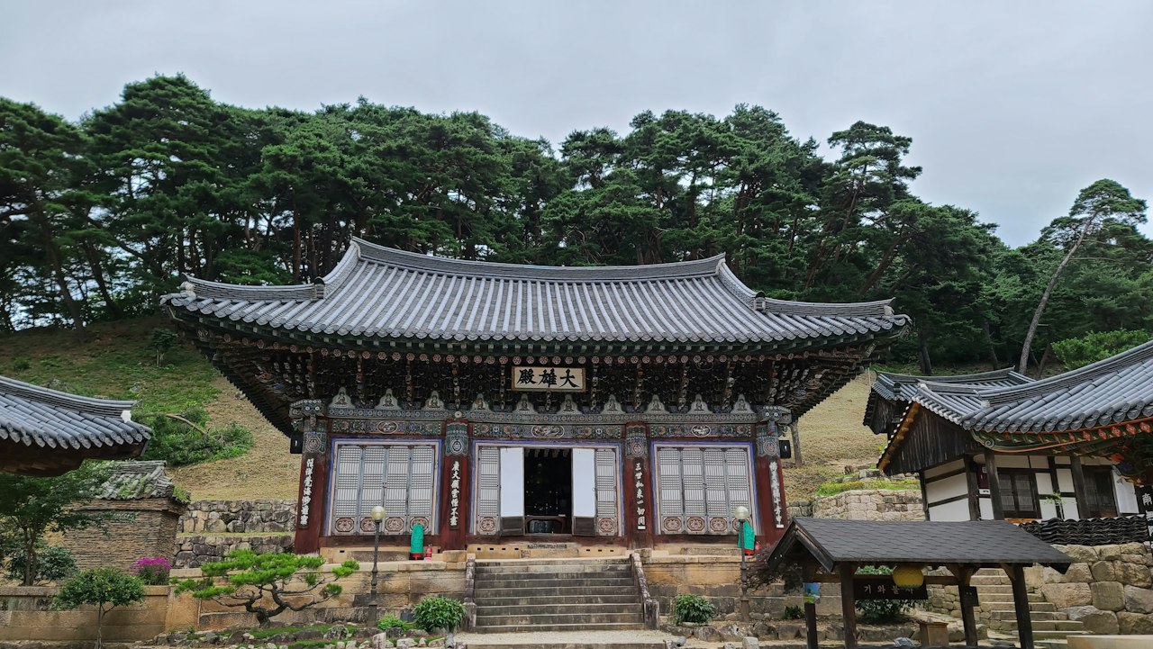 brown and white wooden house surrounded by green trees under white sky during daytime