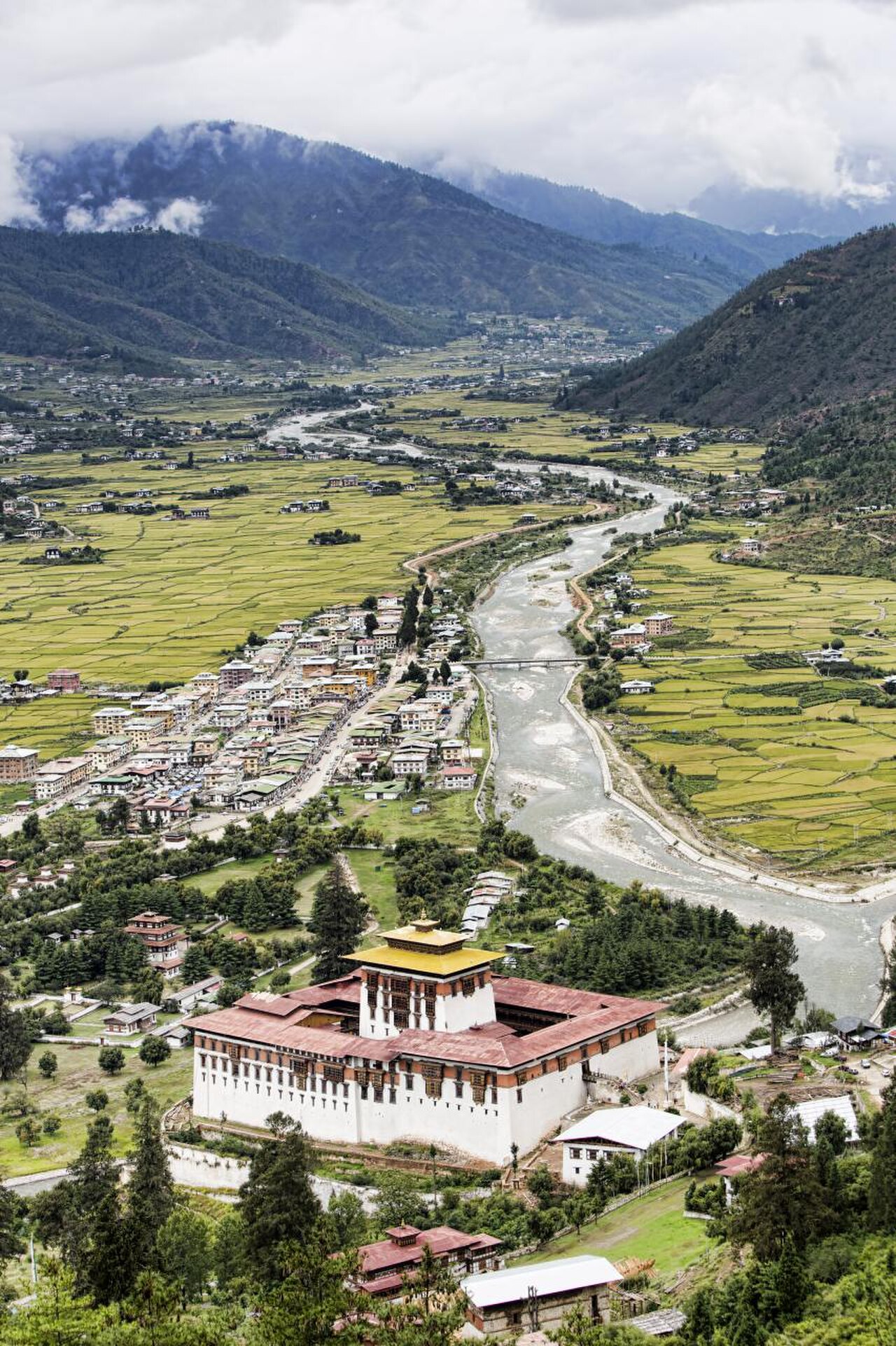 Paro